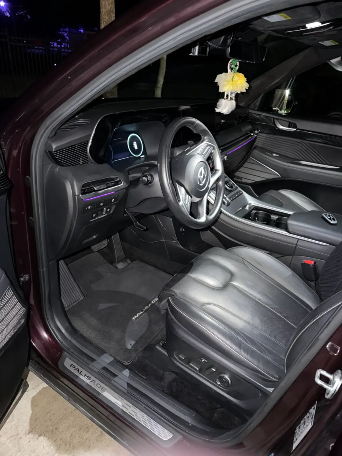 View through an open driver's door of a Hyundai Palisade, showing black leather seating, steering wheel, dashboard, center console and floor mat with visible vacuum lines.